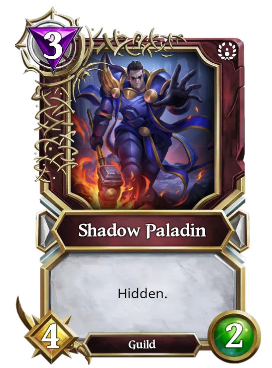 Shadow Paladin