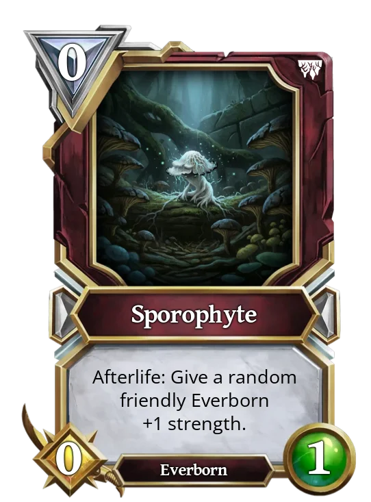 Sporophyte