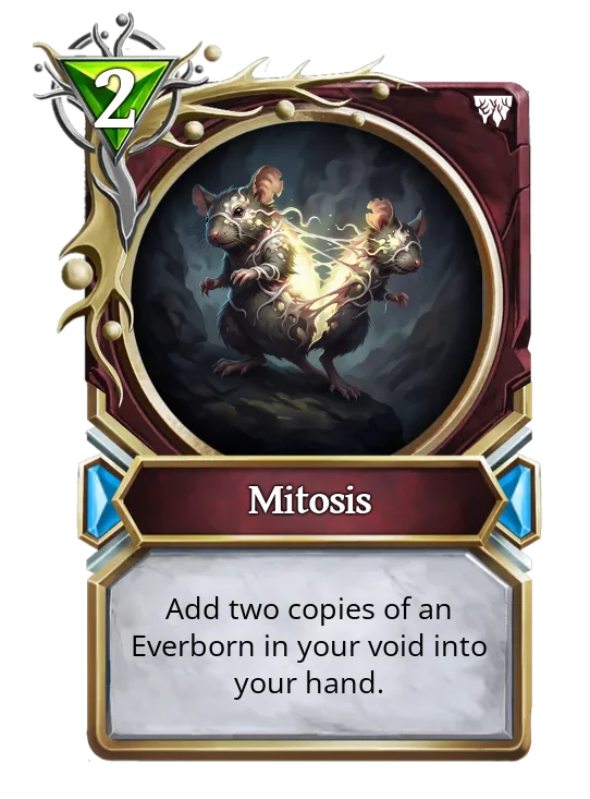 Mitosis